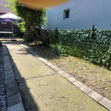 Willa Wooden House Ada Belgrad Zewnętrze zdjęcie